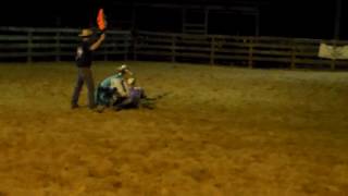 Cadee goats 091016 NCYRA
