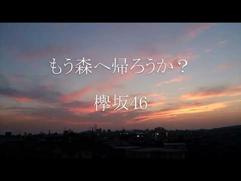 もう森へ帰ろうか？/ 欅坂46 (Piano Solo)