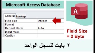 Microsoft Access | Table Field Size Integer