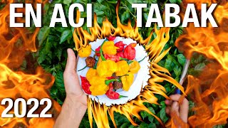 Taze Caroli̇na Reaper Hazir - Carolina Reaper Türkiye - Dünyanin En Aci Bi̇beri̇ Carolina Reaper Tohumu