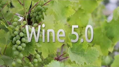How to install Wine 5.0.2 in Deepin 20