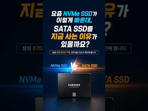삼성전자 870 EVO (1TB)
