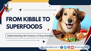 From Kibble to Superfoods Understanding the Science of Dog Nutrition