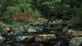 The Fascinating World of Deep Mountain Lakes