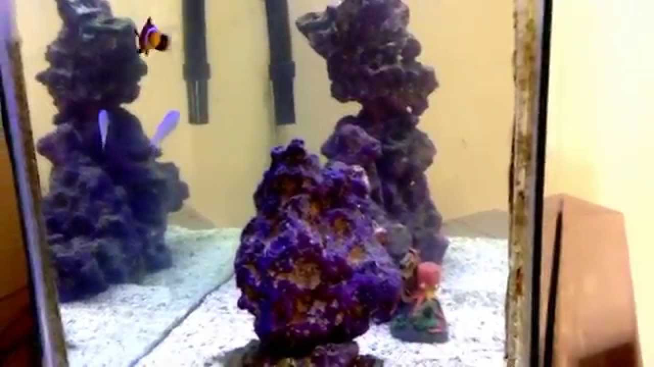 10 gallon reef marine aquarium with hang on back filter. July 4, 2015
