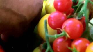 SG# A Little Harvest for 2