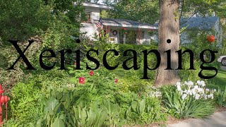 11 04 Xeriscaping is for Everyone