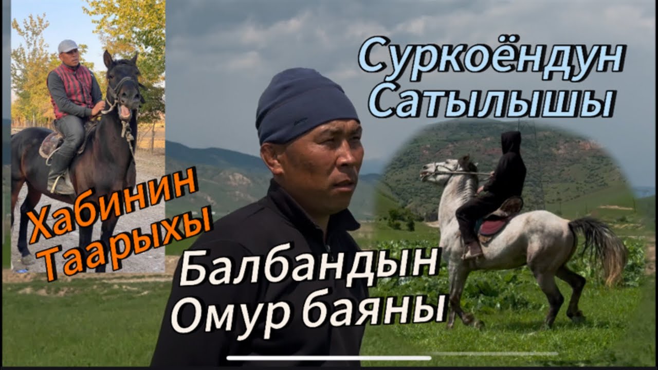 Толкун балбан  Тарых жараткан хаби Сатууга чыккан Суркоён