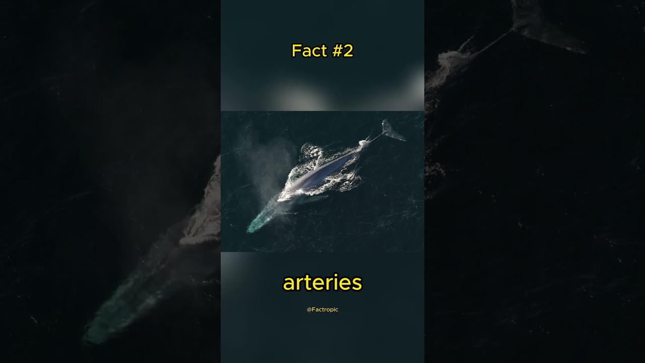 The Hidden World of Animals: 5 Surprising Facts Exposed! 