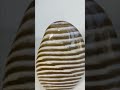 Zebra Jasper: A Dance of Midnight Stripes on Earth’s Canvas, Rooting Strength and Serenity #crystals