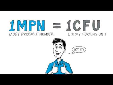 Video: Perbedaan Antara CFU Dan MPN