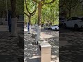 wow! #shorts #short #shortvideo #youtubeshorts #youtube #youtuber #shortclip #travel #china #anish