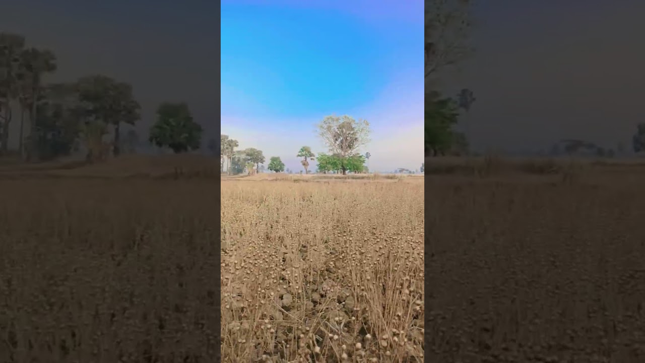 ⁣#villagelife #nature #trending