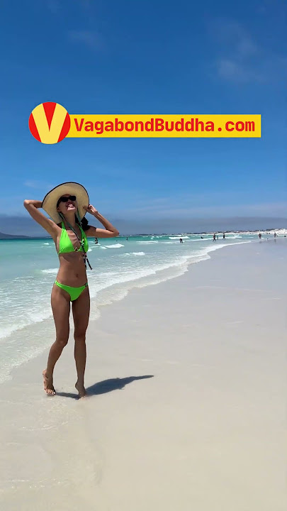 Vagabond Awake 🎉200k Subscribes FLASH SALES https://vagabondbuddha.com/register/