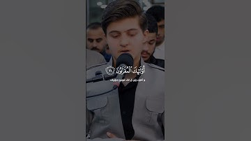 القارئ أرى محمد الكردي 🌺 خشوع لا يوصف 😌😌
