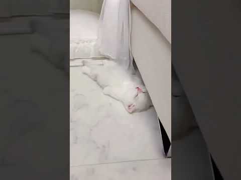 بقالي ساعه بدور علي الصوت واكتشفت دا