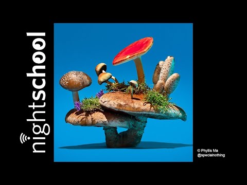 NightSchool: Fungus Among Us