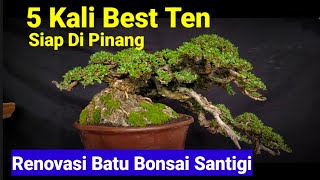 Stone Renovation on Santigi Bonsai