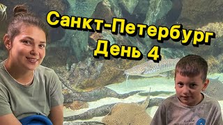 Санкт-Петербург. День 4 океанариум (Saint-Petersburg. Day 4 oceanarium)