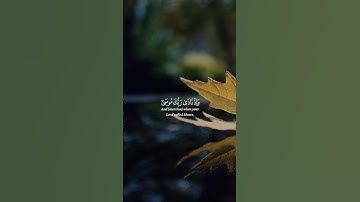 وإذ نادى ربك موسى | تلاوة هادئة تريح القلب والعقل 🎧❤️‍🩹 #قرآن #تلاوات #اكسبلور #الله #راحة_نفسية