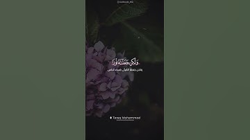 #القران_الكريم #اذكروا_الله #اجمل #سبحان_الله #تلاوة_خاشعة #ماشاءالله