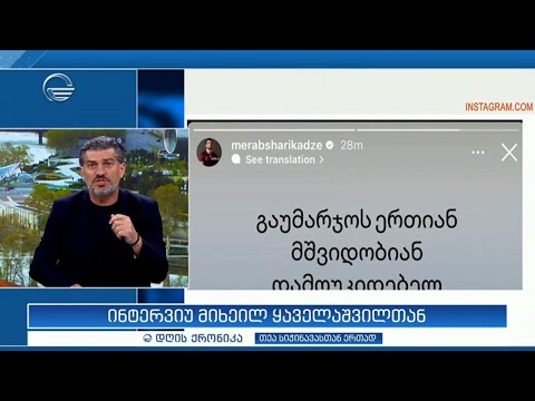 \"დღის ქრონიკის\" კითხვებს მიხეილ ყაველაშვილი პასუხობს