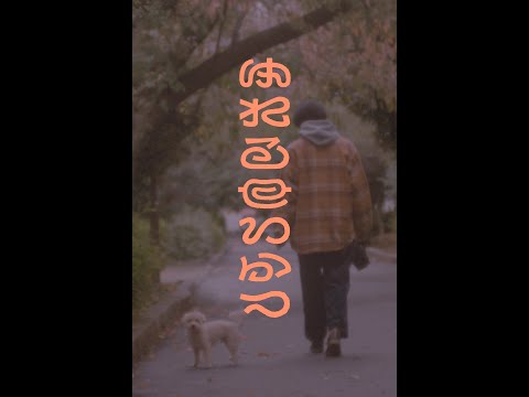 即興×ドラマ『ゆれるせいかつ』本編 冒頭映像｜#1「King Gnu 井口理・前編：友よ聞け、語れ」