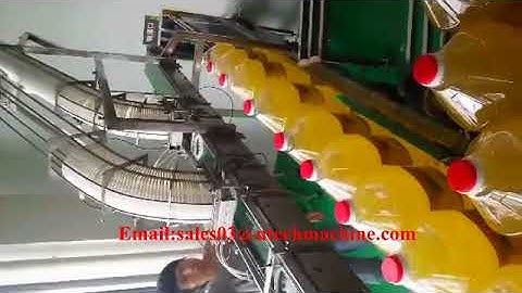 Automatic Plastic Bottle handle ring  lifting inserting machine