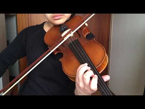 Kōsaki Satoru - Senjougahara, Tore | Violin Cover