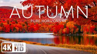 Autumn 4K 🍁 A Forest Wrapped in Color | Relaxing Piano Music for Study, Sleep & Stress Relief