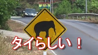 【日本にない交通標識】タイ・プーケット島！カタビーチ！象に注意の交通標識！Elephant sign in Phuket in Thailand 国際ジャーナリスト大川原　明！言及