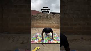 Day 53. 53 push-ups, 0.5L of water. Observing the friction today, it was high, but the reps got done