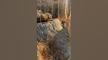 Here’s the Beavertail Boat Blind in action! #boatblind #duckdog #duckblind