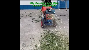 Máy băm cành cây di động siêu tiện lợi