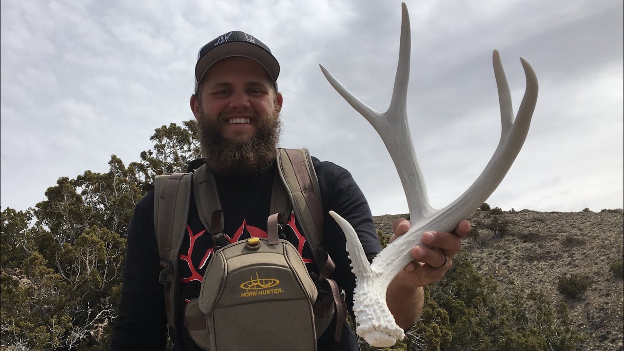 SHED HUNTING UTAH 2019 MULE DEER SHEDS WITH KYLE YouTube