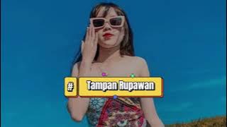 TAMPAN RUPAWAN || FANDHO RMXR