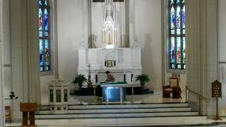 July 12, 2026 - Sunday Evening Mass