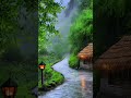 “Soft Piano + Calm Nature = Deep Peace 😌” #relax