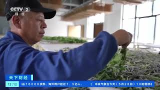 [天下财经]浙江湖州：机械化养蚕 助蚕农降本增收| 财经风云