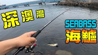 深澳灣SEABASS難得的海鱸連發