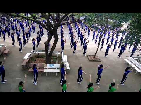 Video Thể dục nhịp điệu THPT đức hoà - YouTube