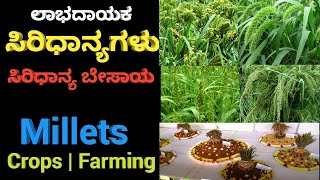 ಸಿರಿಧಾನ್ಯಗಳು | ಸಿರಿಧಾನ್ಯಗಳ ಮಹತ್ವ | ಸಿರಿಧಾನ್ಯಗಳ ತಳಿಗಳು | Millet&#39;s | Siridhanya | Millet Cultivation