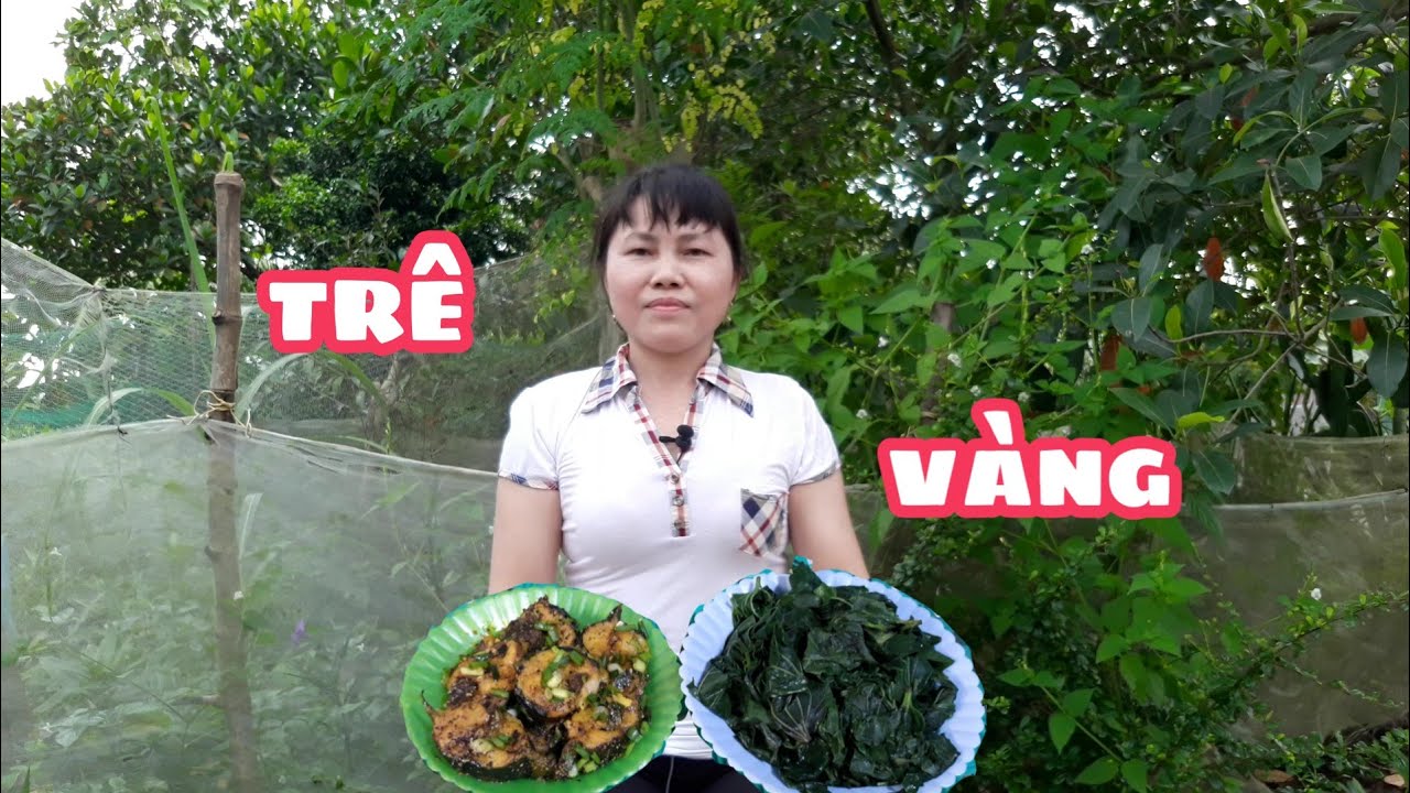 Cá Trê Vàng Kho Tiêu / Tống Loan .Braised Yellow Catfish / Tong Loan