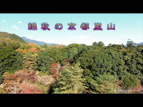 【ドローン空撮】錦秋の京都嵐山
