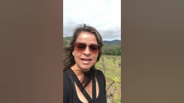 Kelly's Vineyard Video - 4/22/20