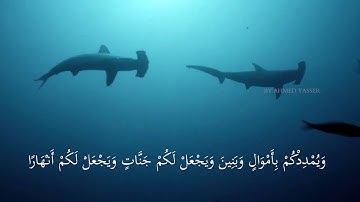 فَقُلْتُ اسْتَغْفِرُوا رَبَّكُمْ إِنَّهُ كَانَ غَفَّارًا / القارئ مشاري البغلي ❤️❤️