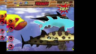 Feeding Frenzy 5 Orca King