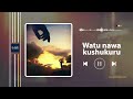 WATU NAWAKUSHUKURU Official Music Audio