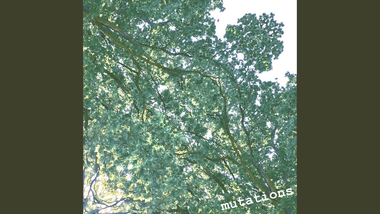 Obejrzyj Adapt w YouTube Obejrzyj Adapt w YouTube