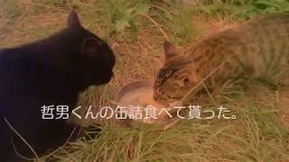 AUTO AWESOME MOVIE 1 20170920 222117